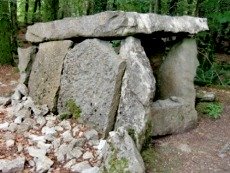 The dolmen at Craggaunowen