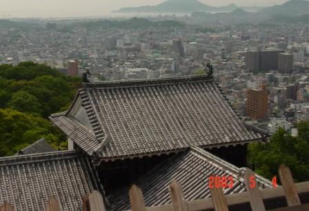 Japenese Roof from Above